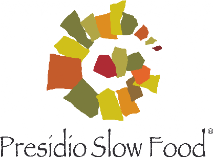 Pecorino di farindola